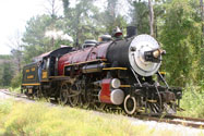 Texas State Railroad