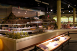 Norfolk Children's Museum Train Layout